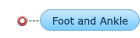 Orthopaedic Full Revenue Cycle Management - From The Ground Up